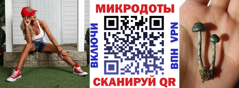 Купить где  Светлоград  Галлюциногенные грибы Psilocybine cubensis 