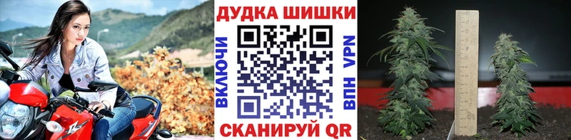 Шишки марихуана гибрид  Купить где  Светлоград 